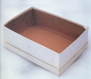 Empty-Shoe-Box