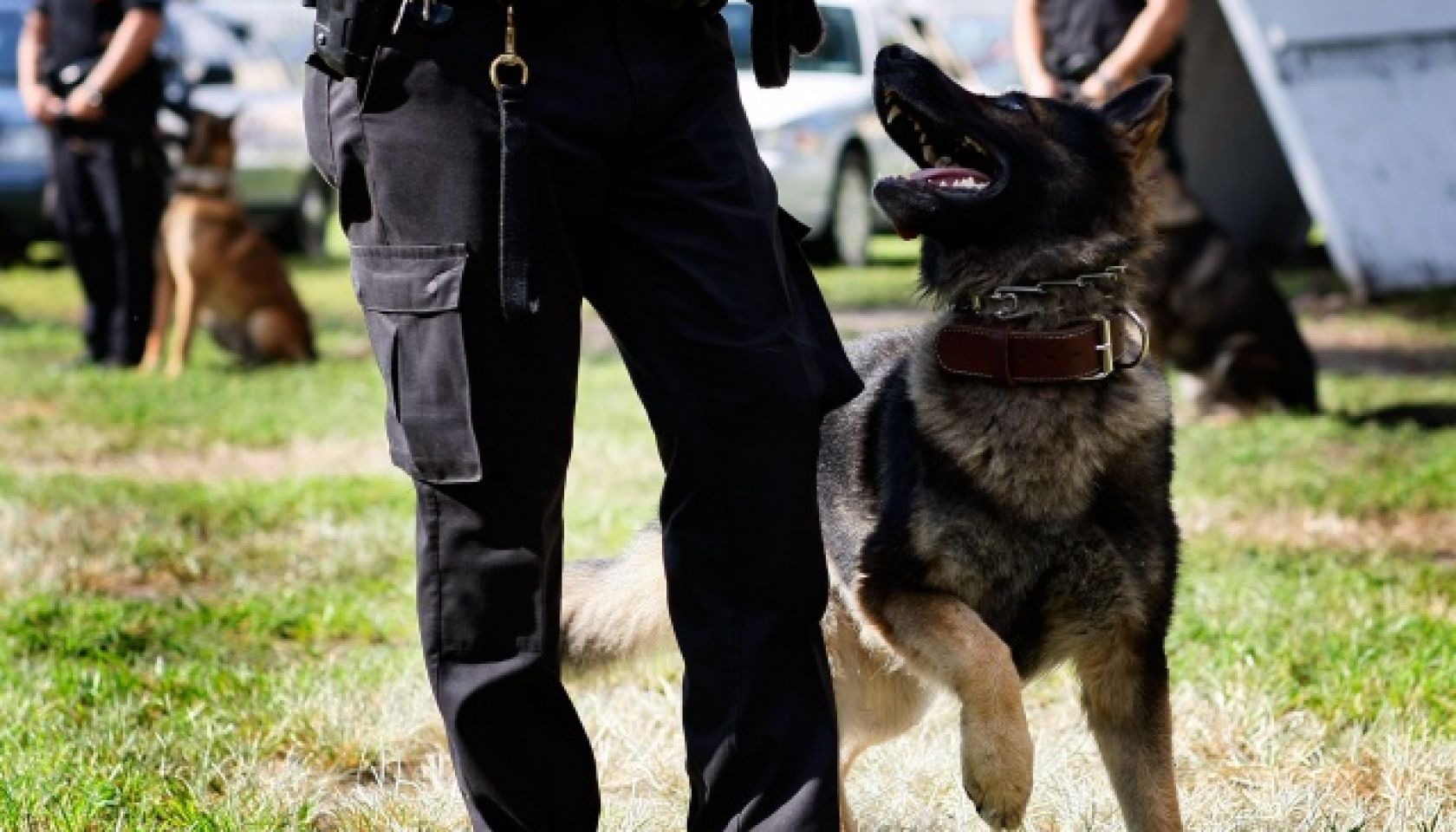 K-9 Police Teams Hold Graduation Ceremony In Miami