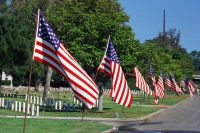 American flags lining street, cemetery in background