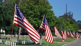 American flags lining street, cemetery in background