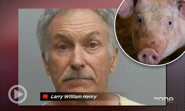 WTH?! Thursday: Man Found Naked & Drunk In A Hog Barn "Just Likes Pigs"