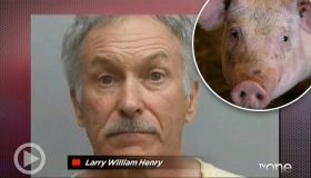 WTH?! Thursday: Man Found Naked & Drunk In A Hog Barn "Just Likes Pigs"