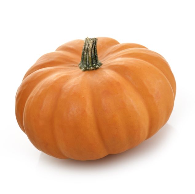 Orange Pumpkin On White Background