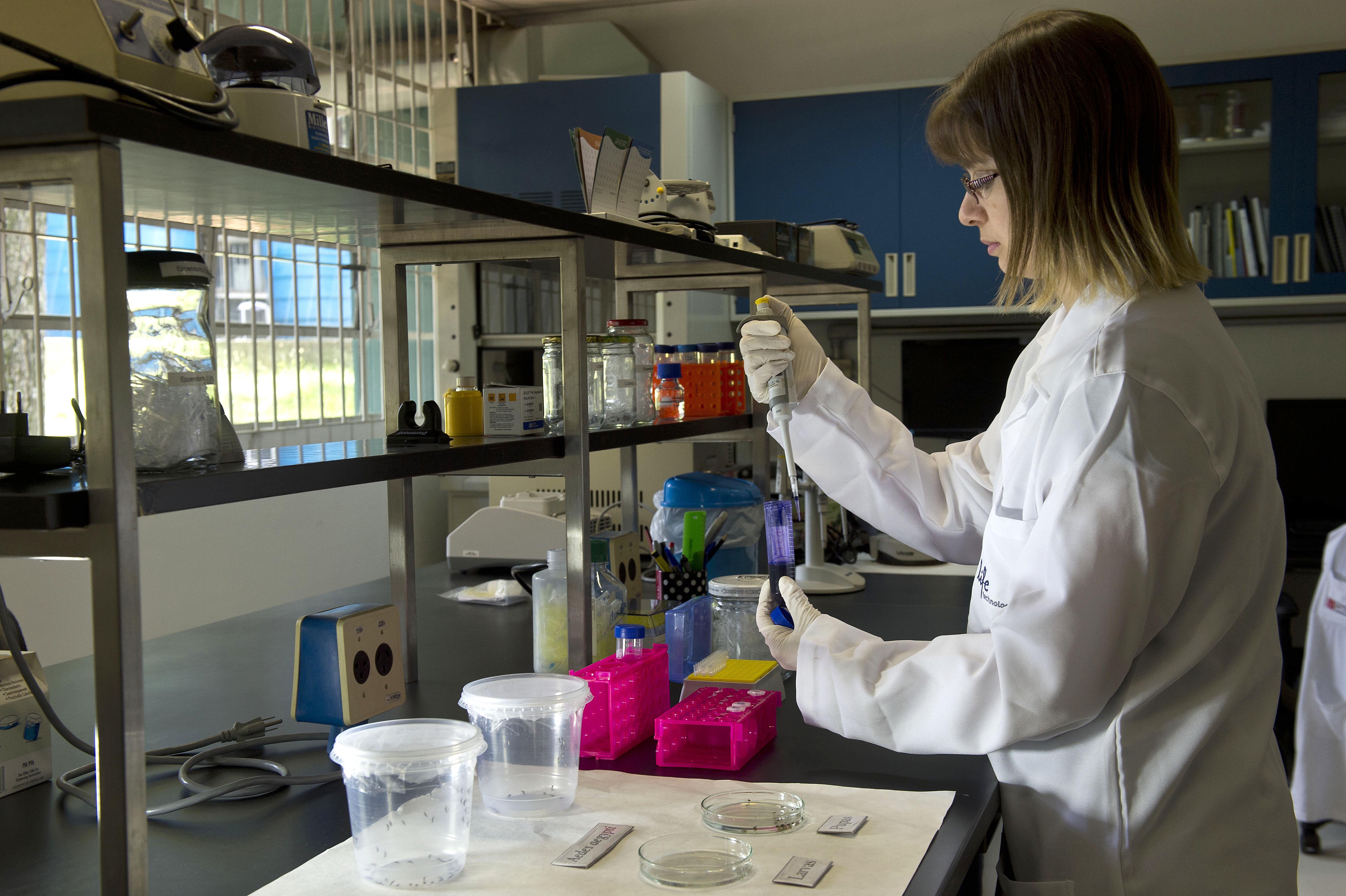 BRAZIL-SENEGAL-SCIENCE-HEALTH-ZIKA-VIRUS