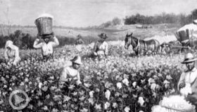 'The Half Has Never Been Told:' Author Explains How Slavery Powered American Capitalism