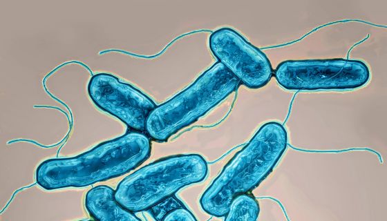 In New York City: 10 Things To Know About The Ongoing Outbreak