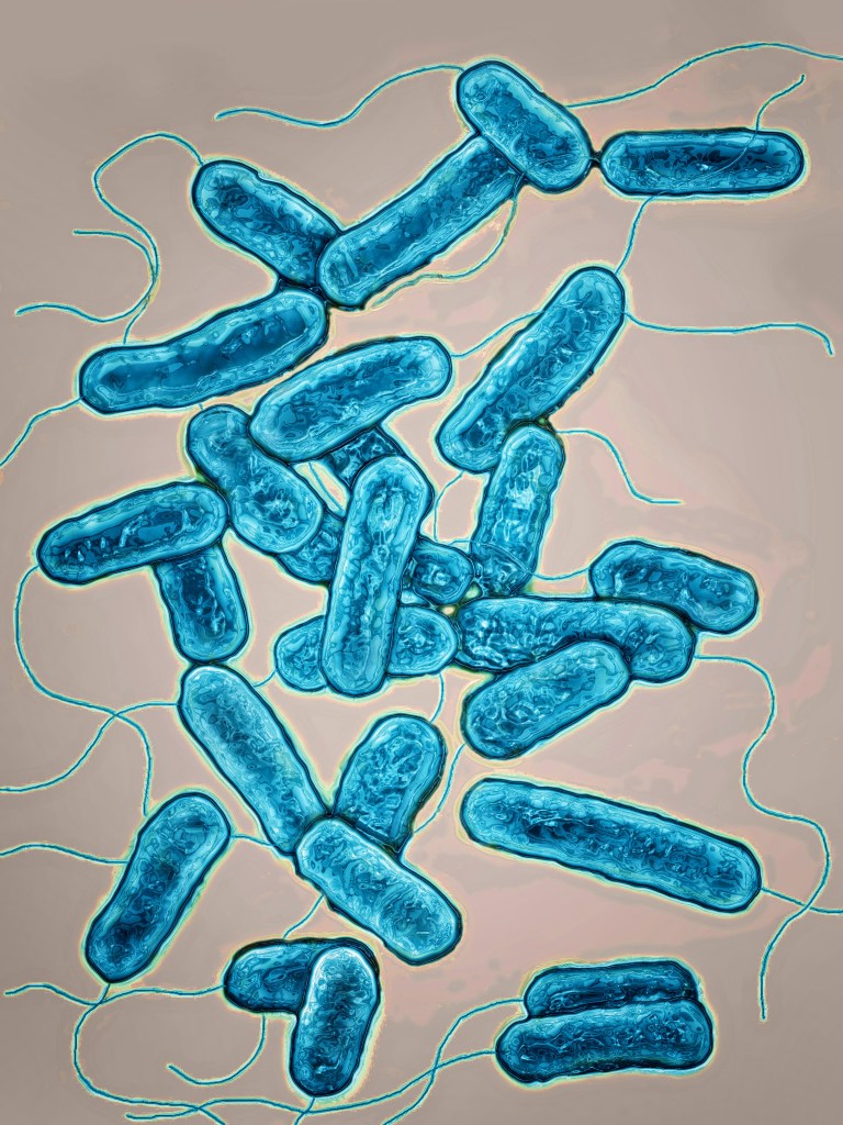 In New York City: 10 Things To Know About The Ongoing Outbreak
