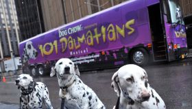 Dalmatian Stars From 'The 101 Dalmatians Musical' Arrive In NYC
