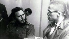 Fidel Castro and Malcolm X.