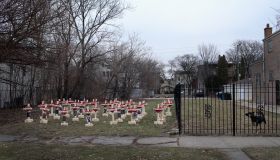 43 White Crosses Mark Chicago Shooting Fatalities Of 2017