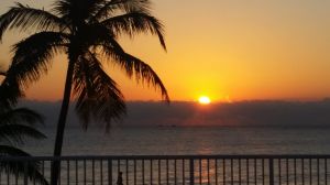 Silhouette Palm Trees Against Calm Sea At Sunset