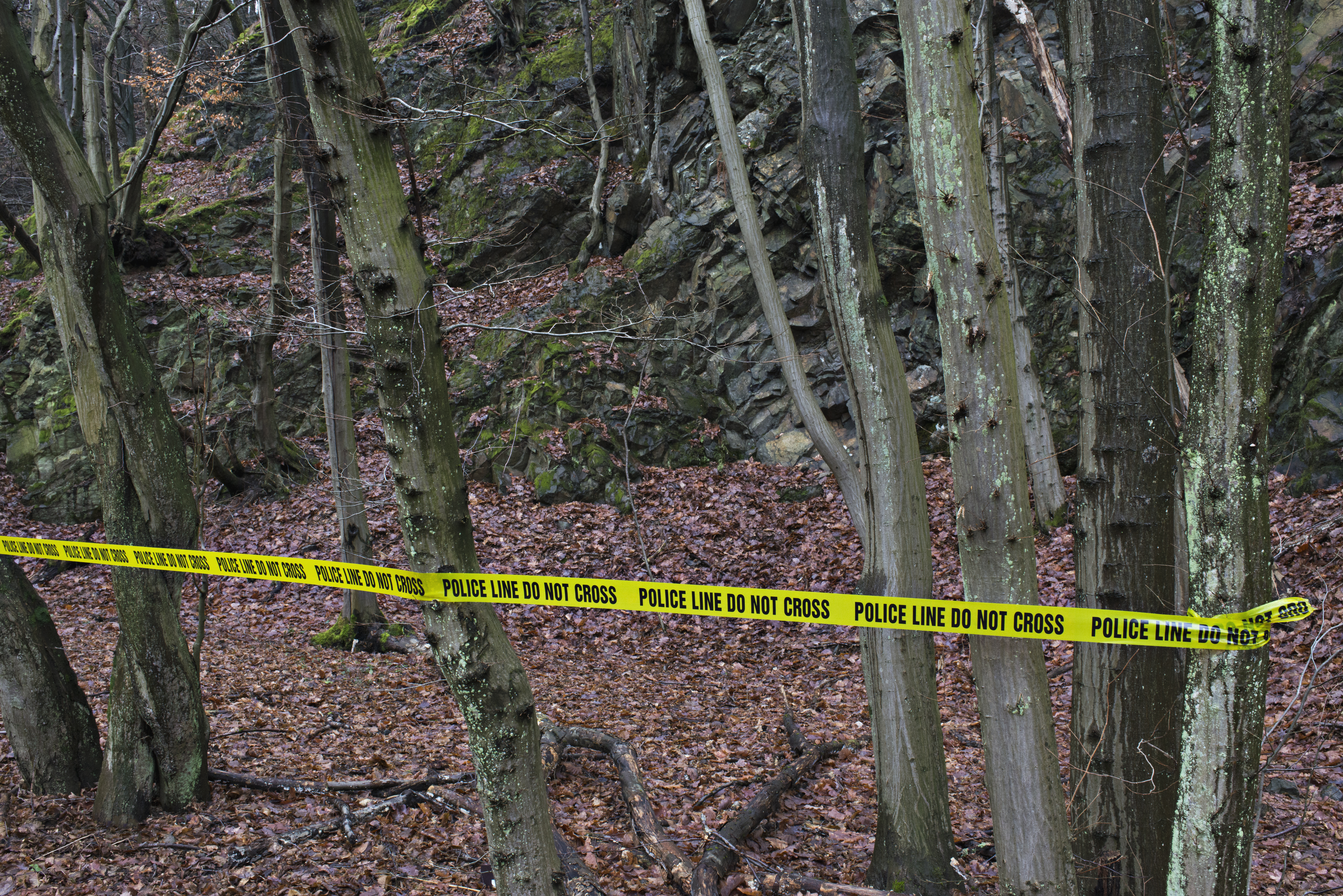 Policeline do not cross