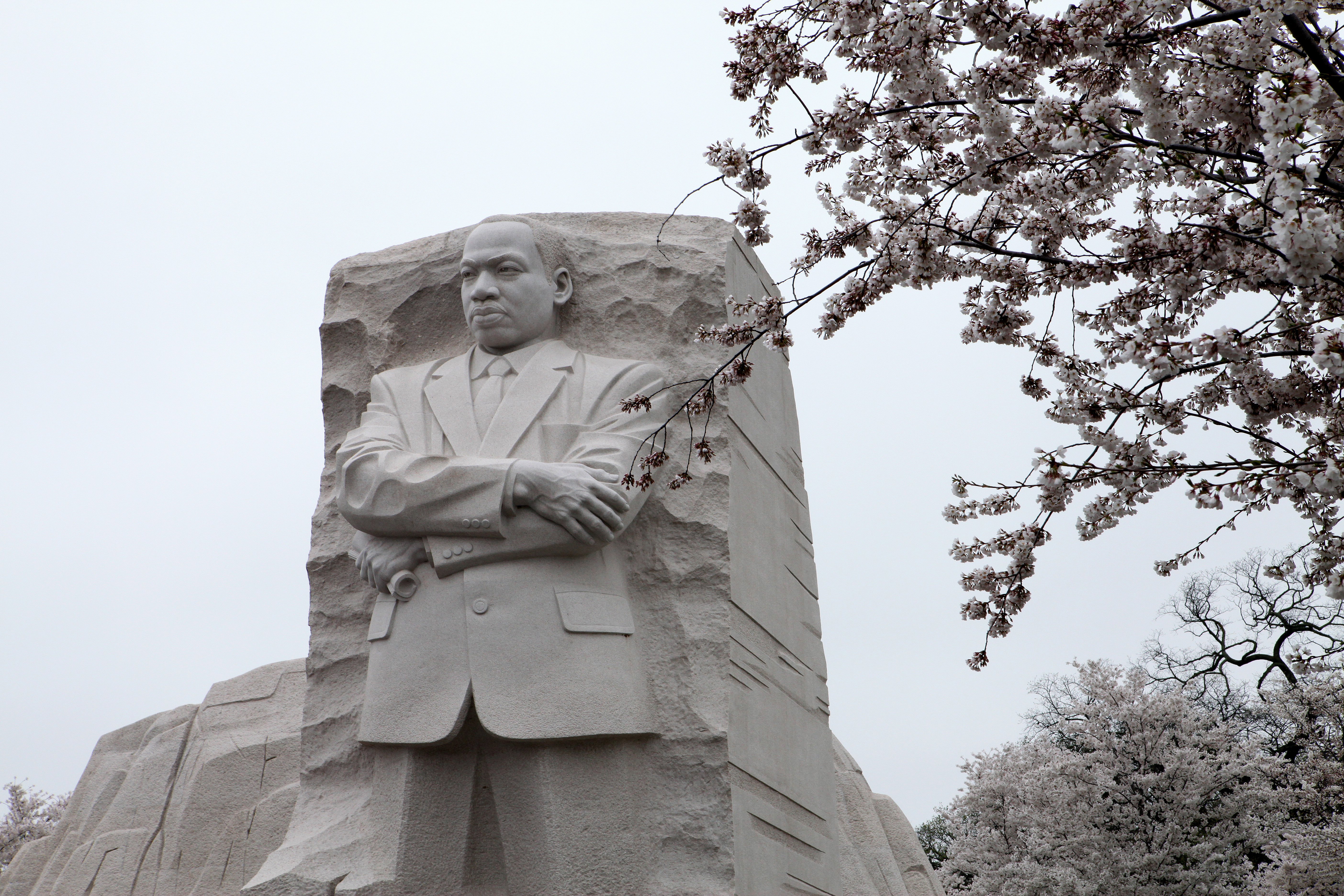 Washington, D.C. Cityscapes And City Views
