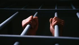 Prisoner Hands Grasp Bars