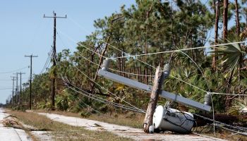 Florida Begins Long Recovery After Hurricane Irma Plows Through State