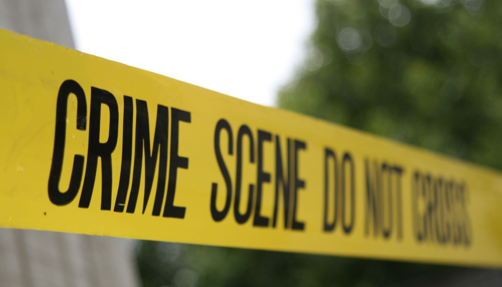 Crime Scene and trees