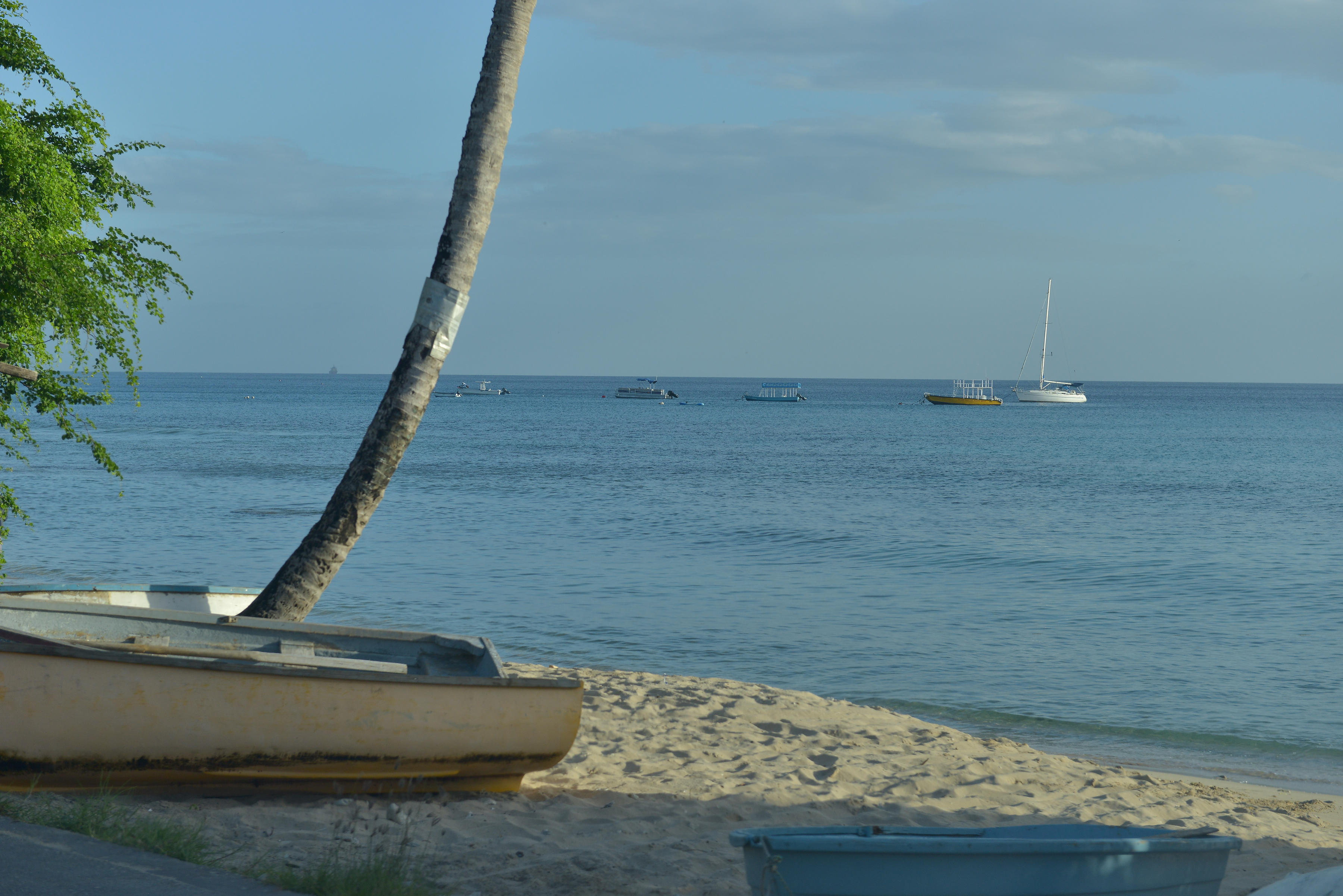 Barbados prepares to celebrate Crop Over and Independence Day