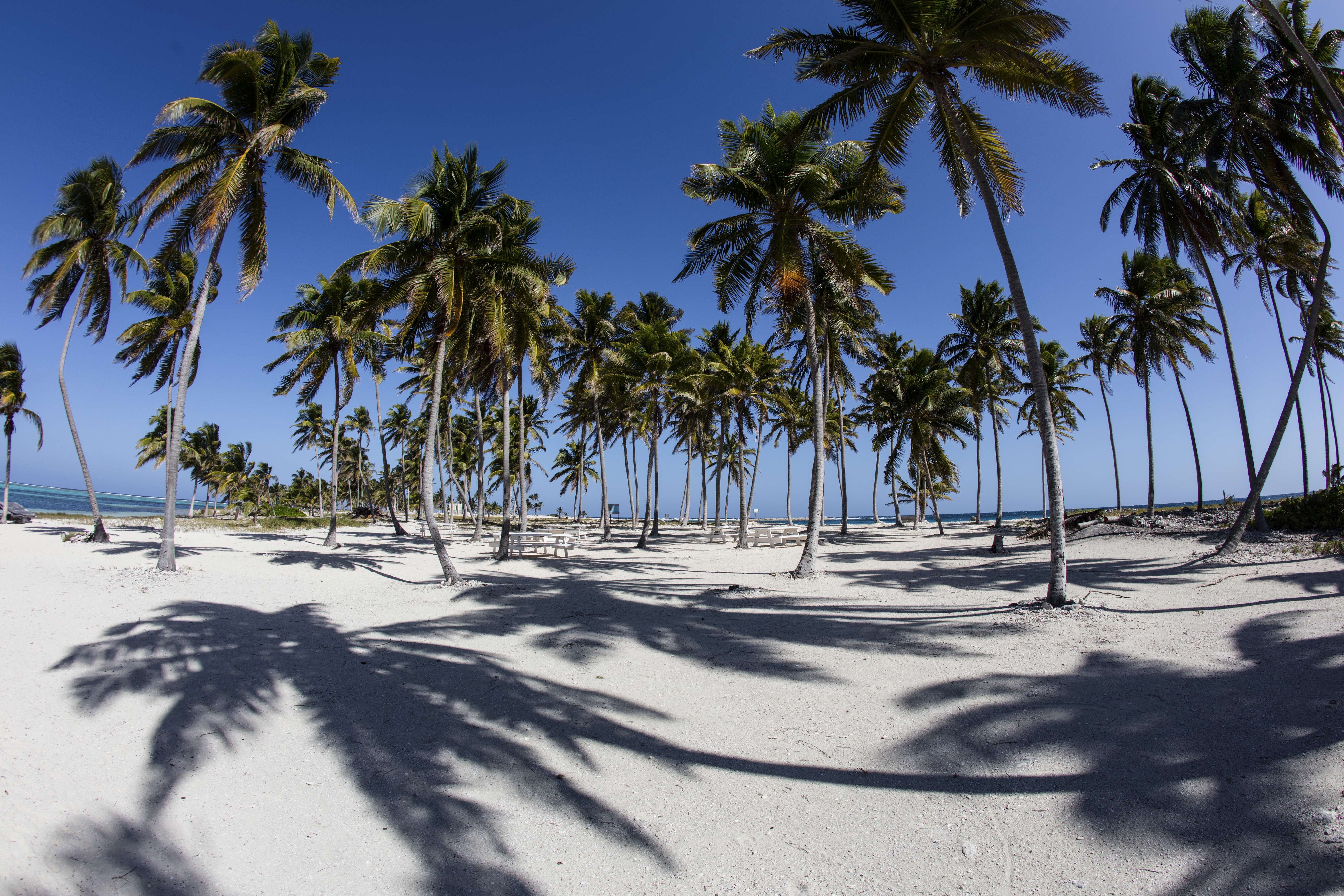 Beach, Belize