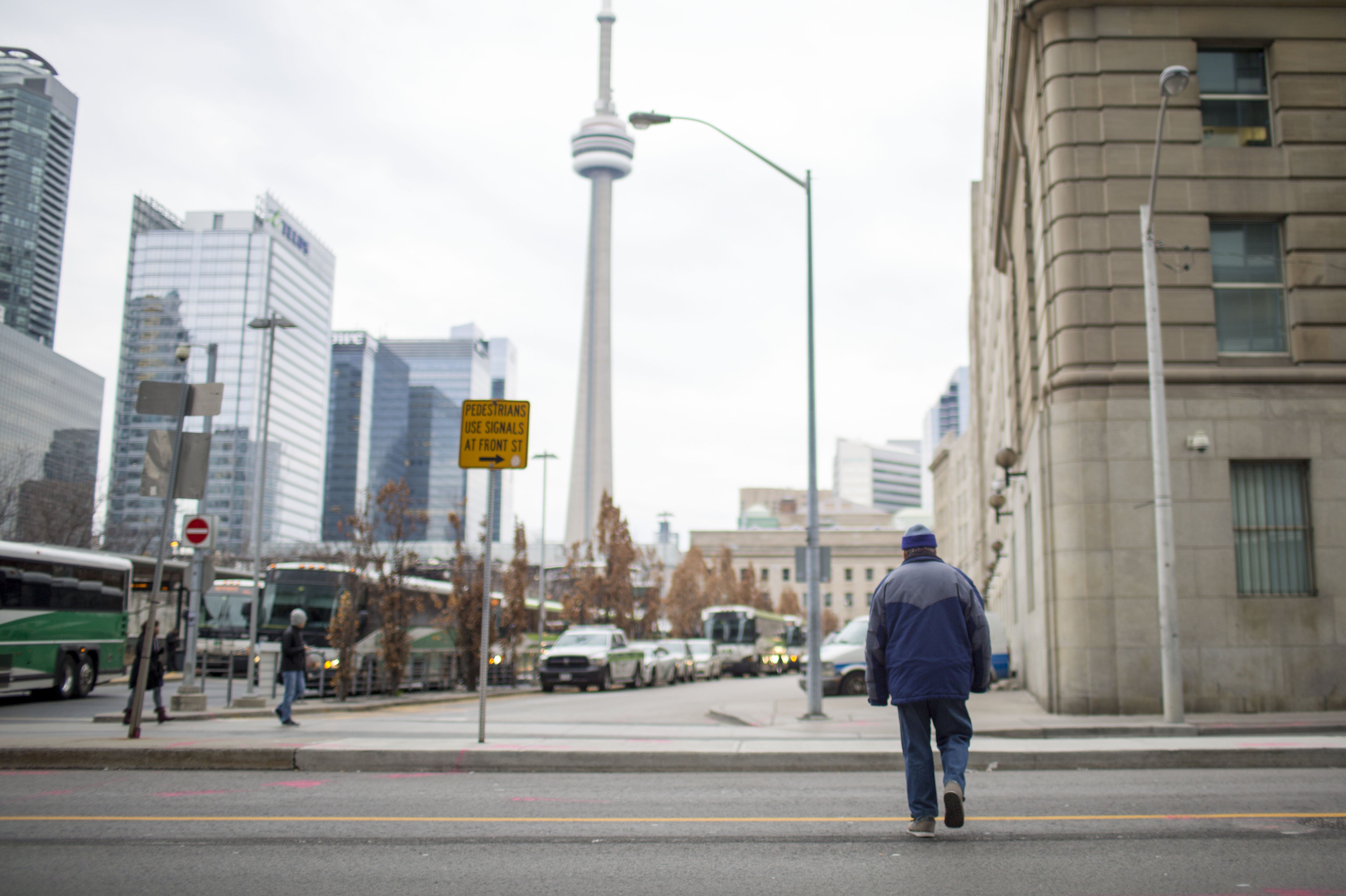 Jaywalking Jay Walking