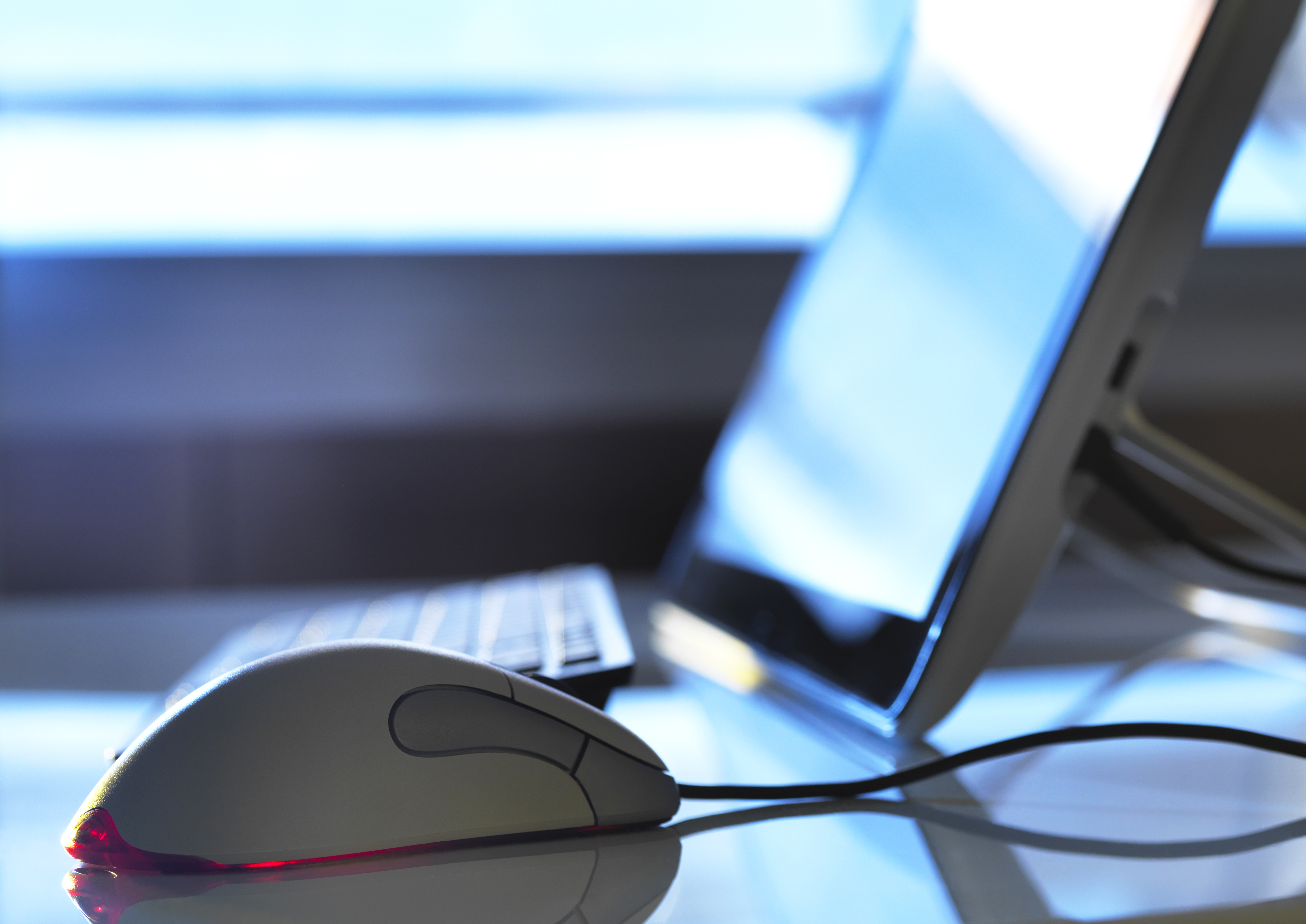 Detail of computer mouse with computer