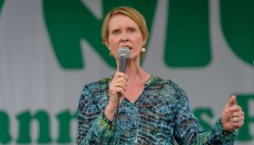 Cynthia Nixon, a candidate running for governor - The NYC...