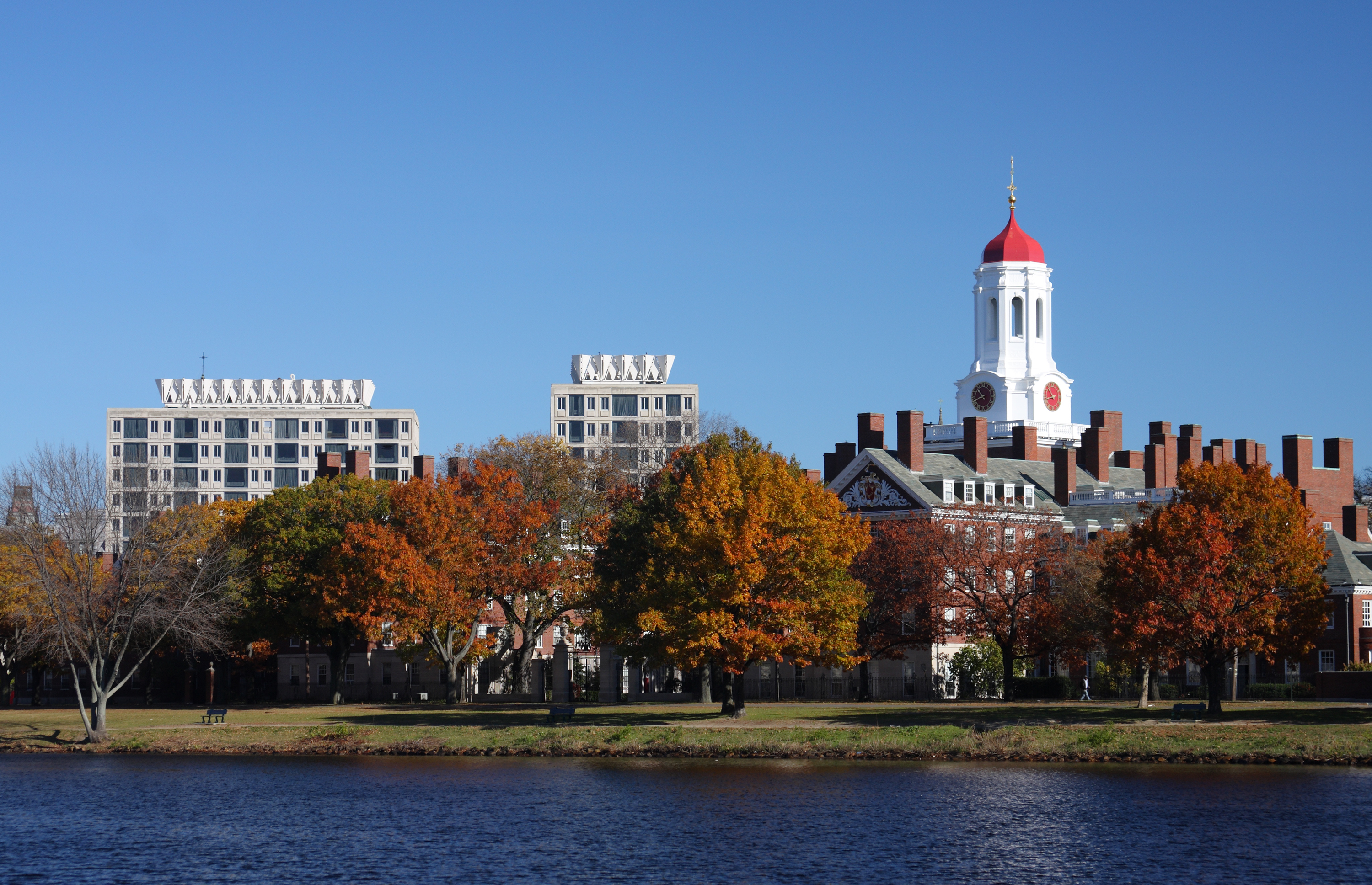Harvard University