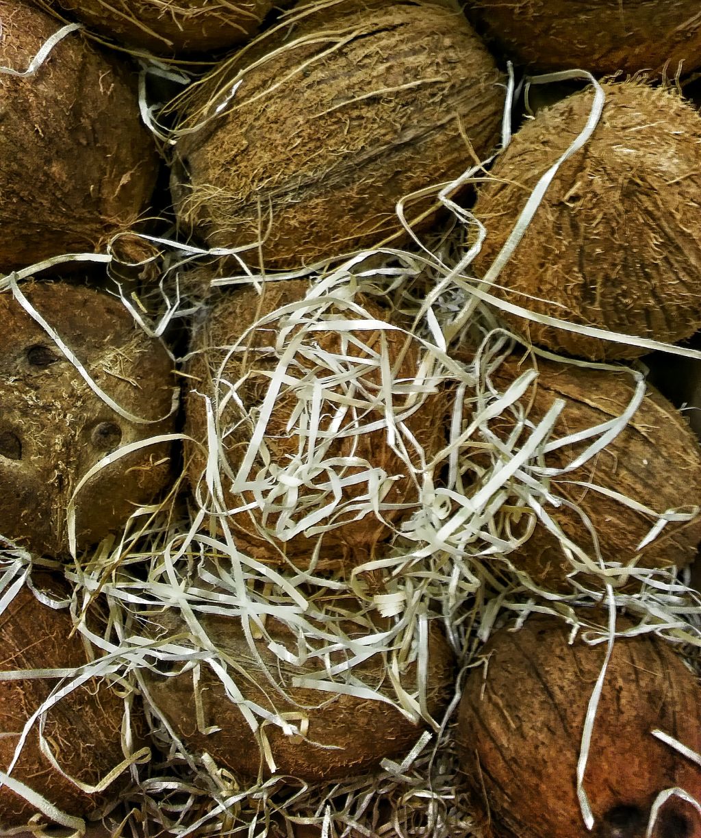 Directly Above Shot Of Coconuts For Sale At Market