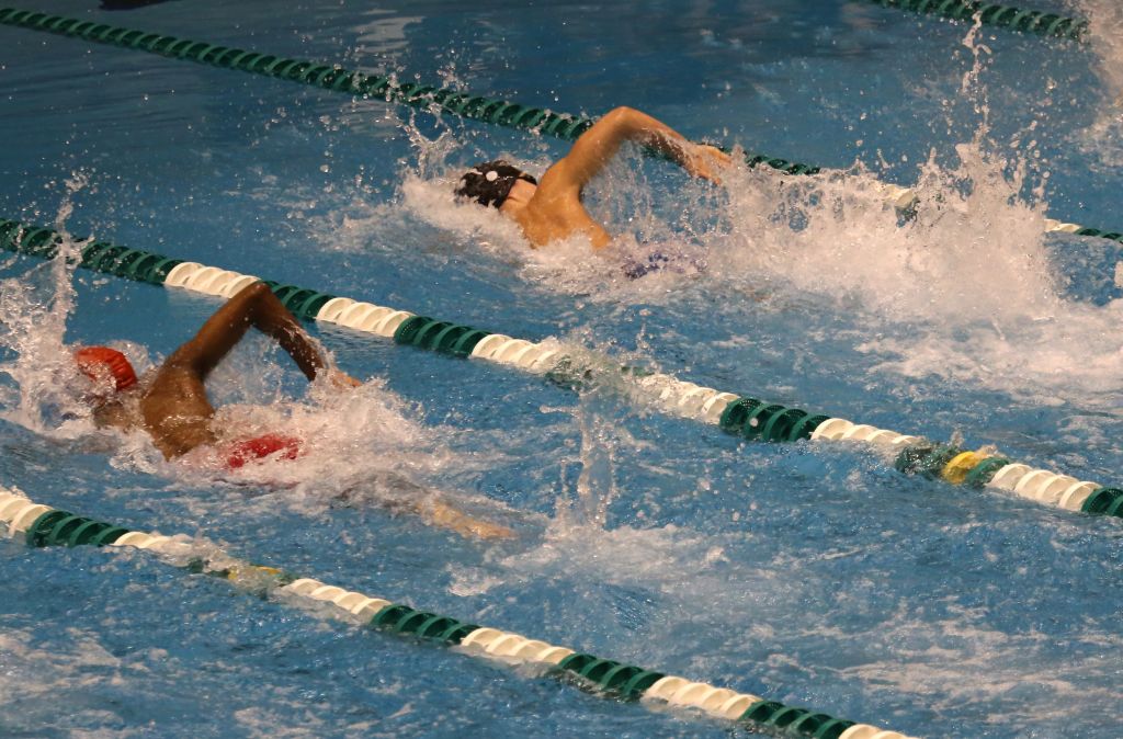 Swimmers in race