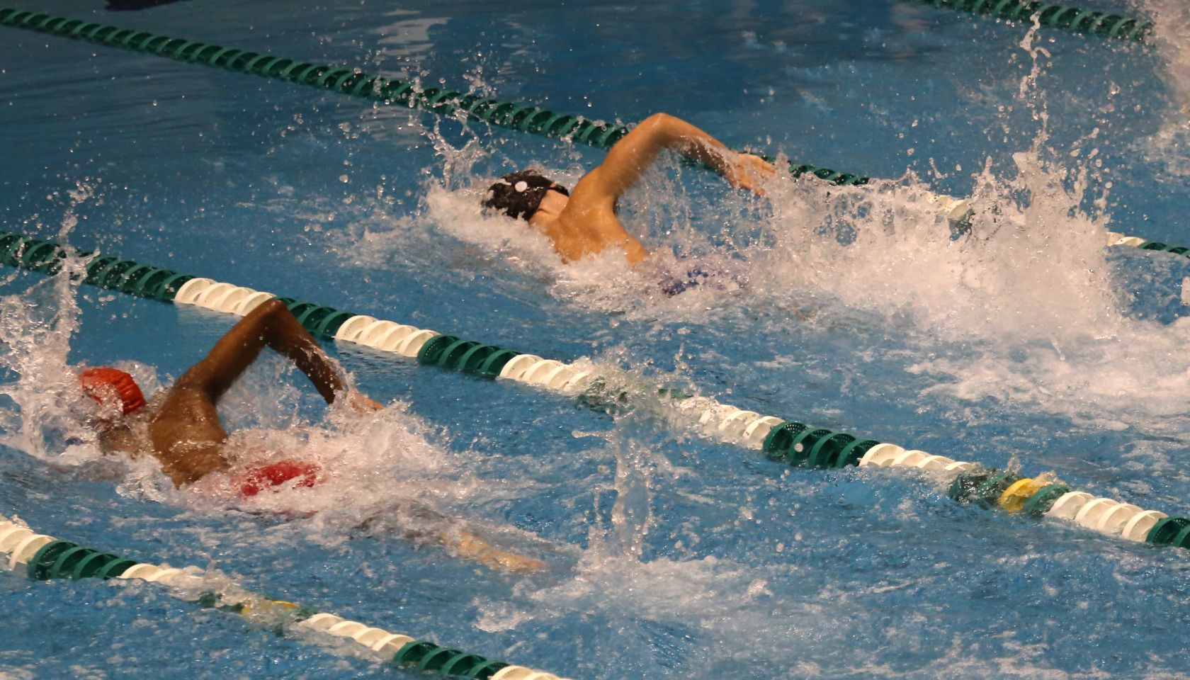 Swimmers in race