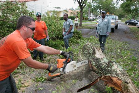City workers sawing fallen trees caused by Hurricane Katrina.