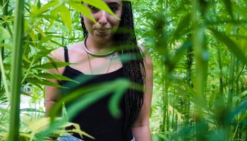 Portrait Of Smiling Young Woman Standing Amidst Cannabis Plants