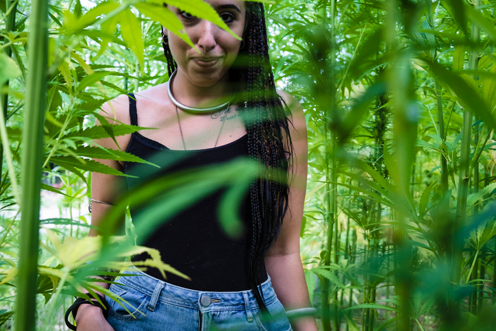 Portrait Of Smiling Young Woman Standing Amidst Cannabis Plants