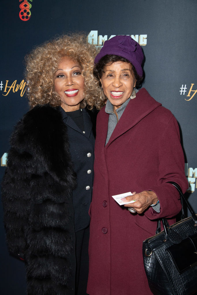 27th Annual Pan African Film & Arts Festival Opening Night Red Carpet