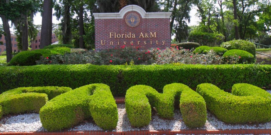 Former FAMU Dean Accuses Her Replacement Of 'Cyberstalking' Her