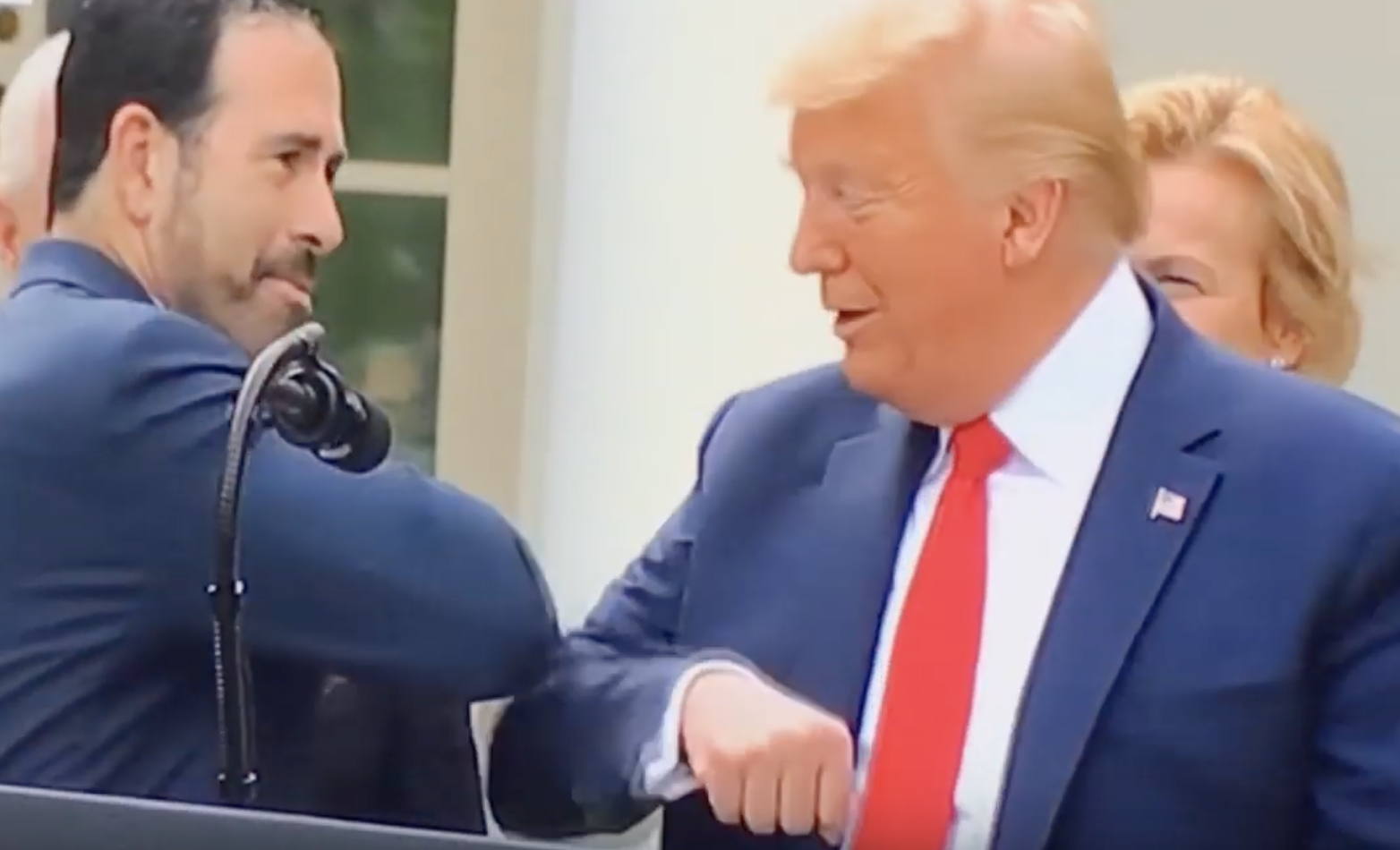 Donald Trump/Bruce Greenstein