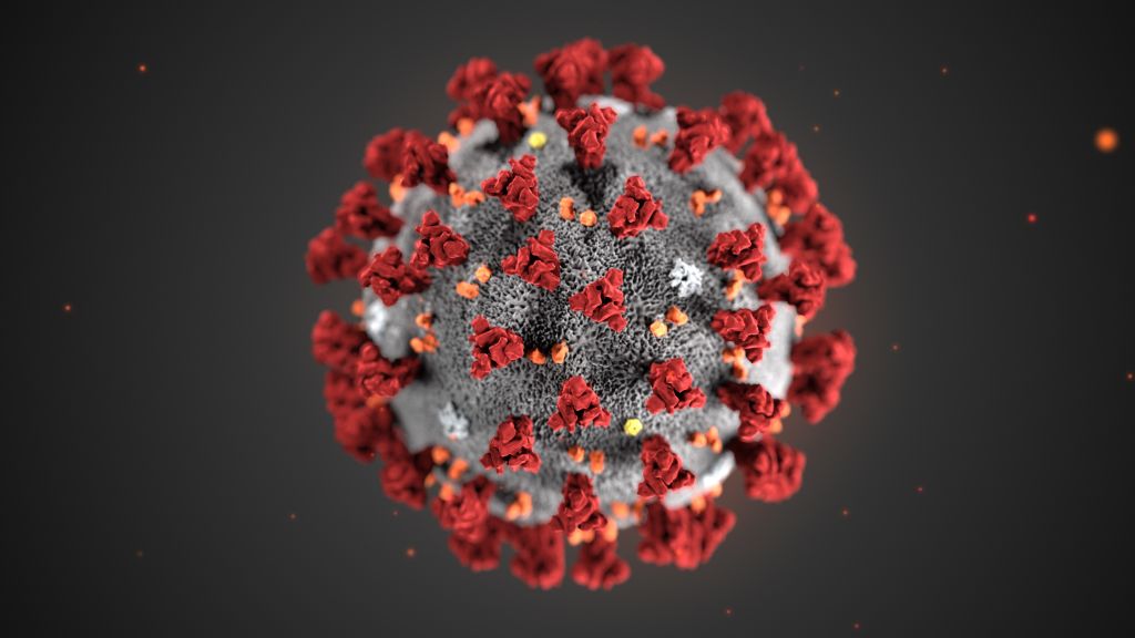 Illustration of 2019 Novel Coronavirus (2019-nCoV)