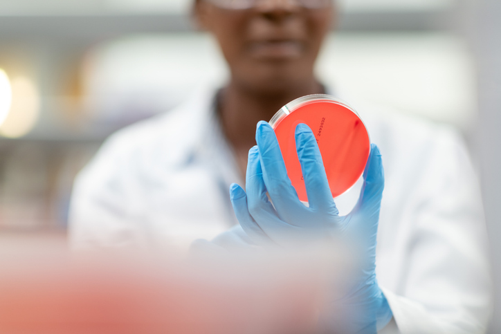 Woman Holding a Petri Dish up for Examination stock photo