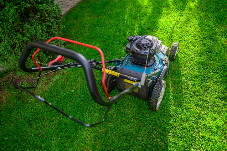 Lawn mower on fresh cut green grass in backyard