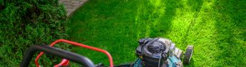 Lawn mower on fresh cut green grass in backyard