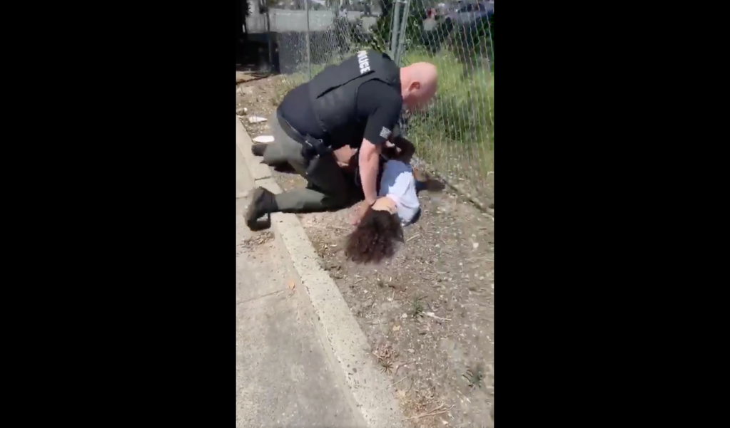 Rancho Cordova police brutality video