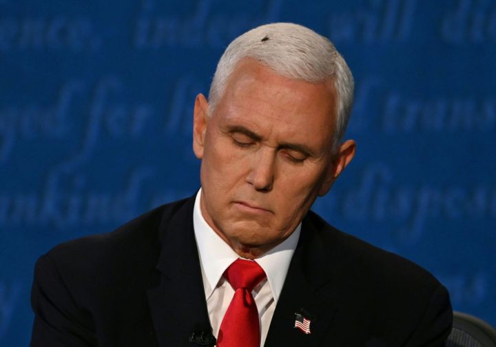 Mike Pence With A Fly On His Head