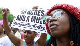 Louis Farrakhan Speaks at Slave Reparations Rally