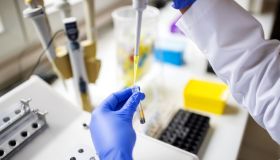Scientist testing medical sample in lab