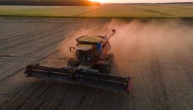 A Soy Harvest Ahead Of USDA Stockpile Estimates