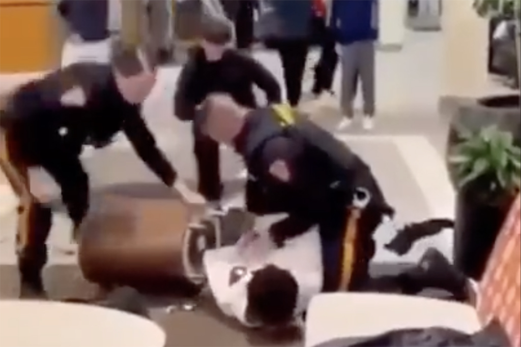 Bridgewater Mall fight video