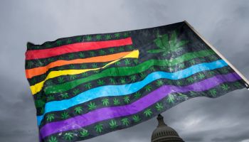 Marijuana Reform