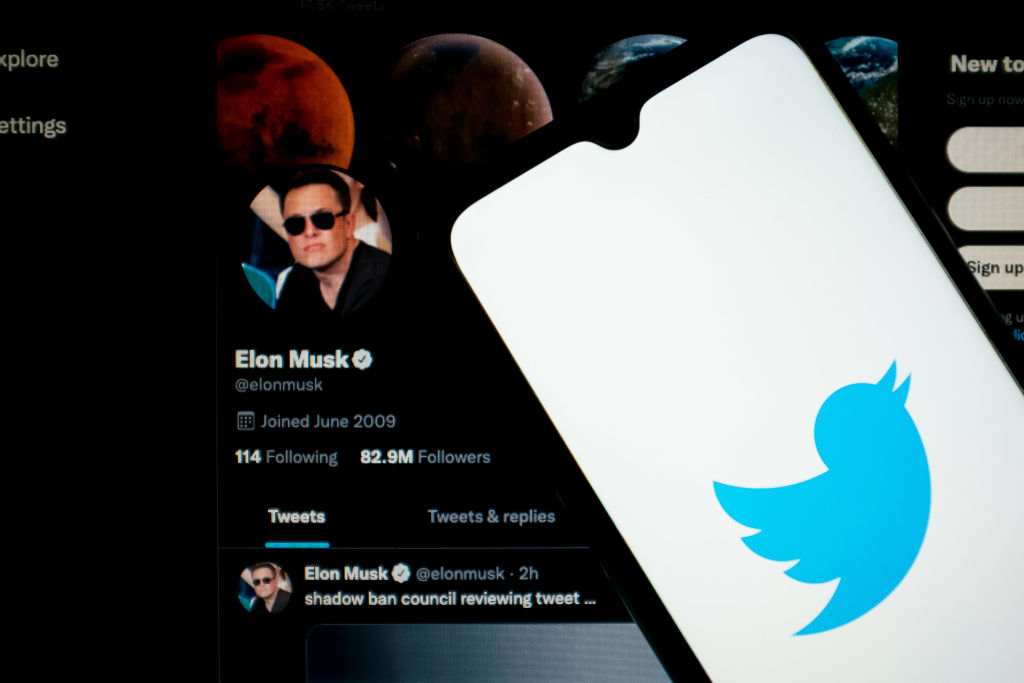 Elon Musk And Twitter Logo Illustration