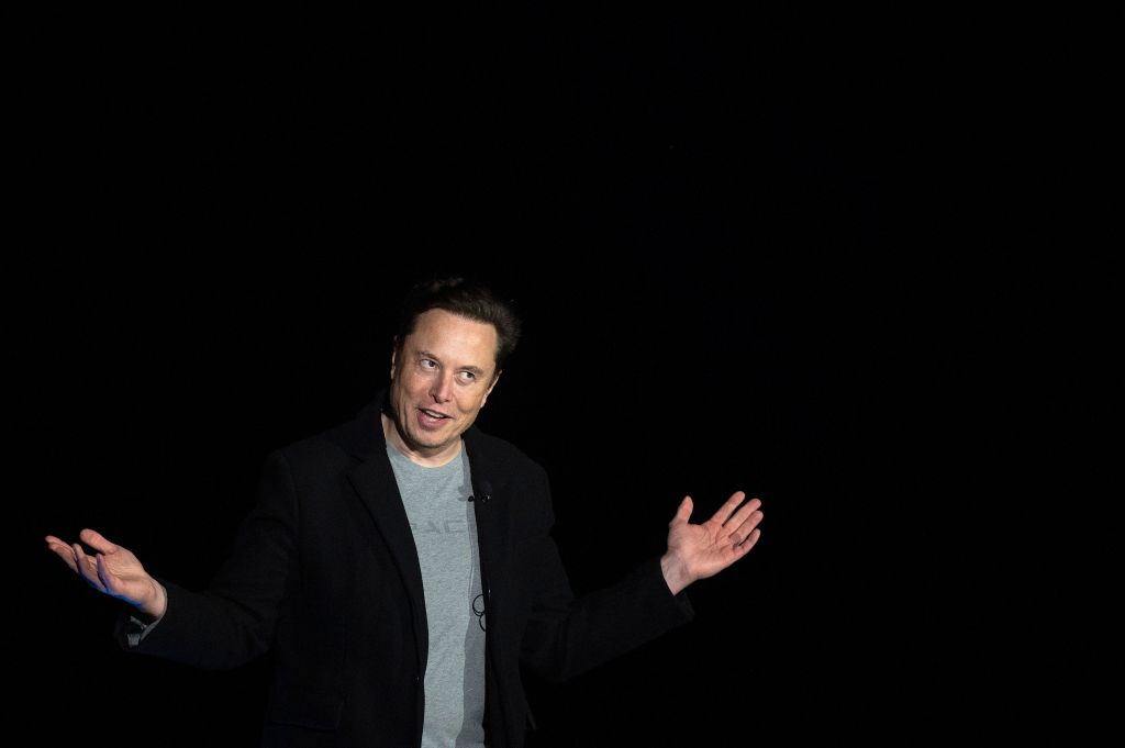 Is Elon Musk Really African American