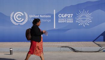 COP27 Climate Conference: Day One