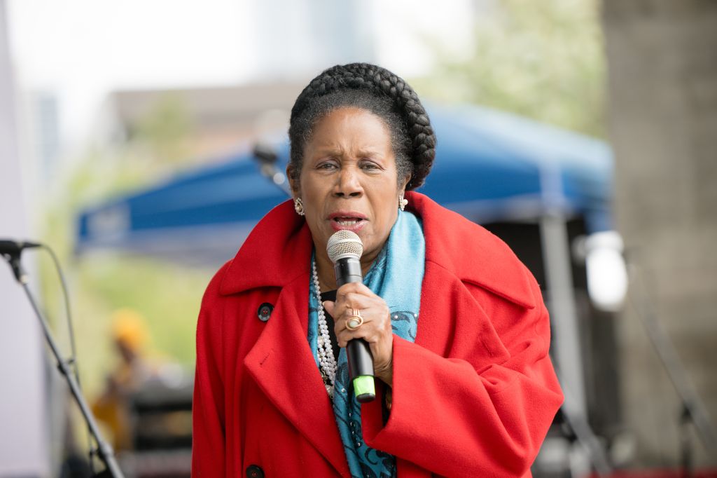 Sheila Jackson Lee attends the Praise In The Park